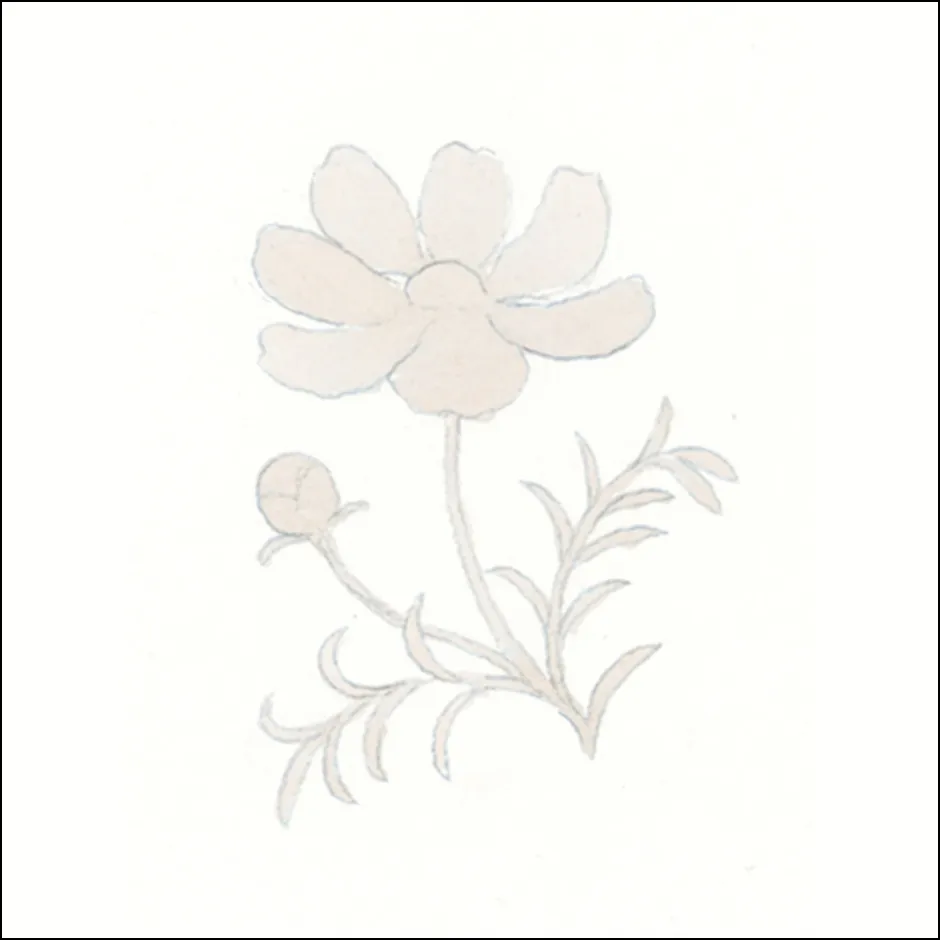 コスモスの描き方1