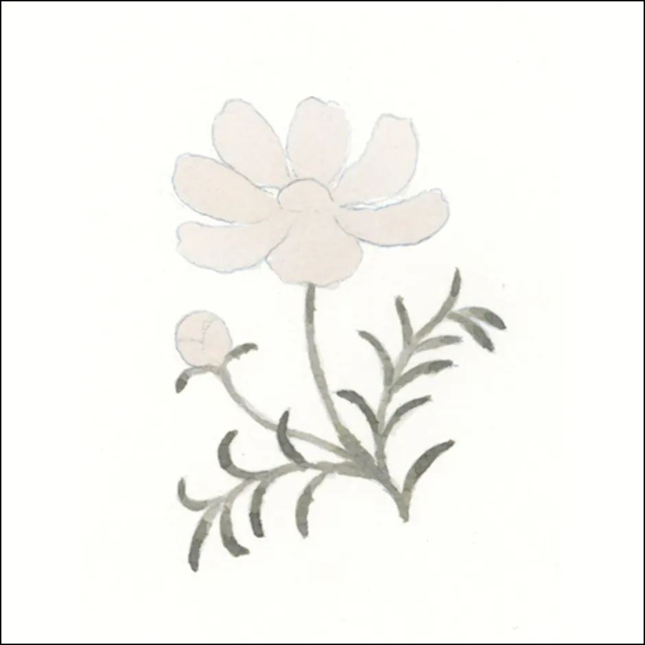 コスモスの描き方2