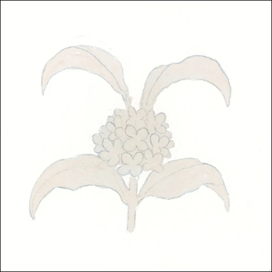 金木犀の描き方1