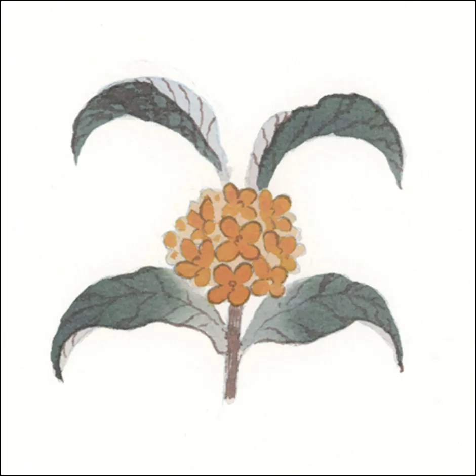 金木犀の描き方4