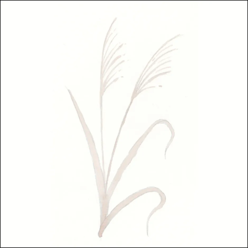 ススキの描き方1