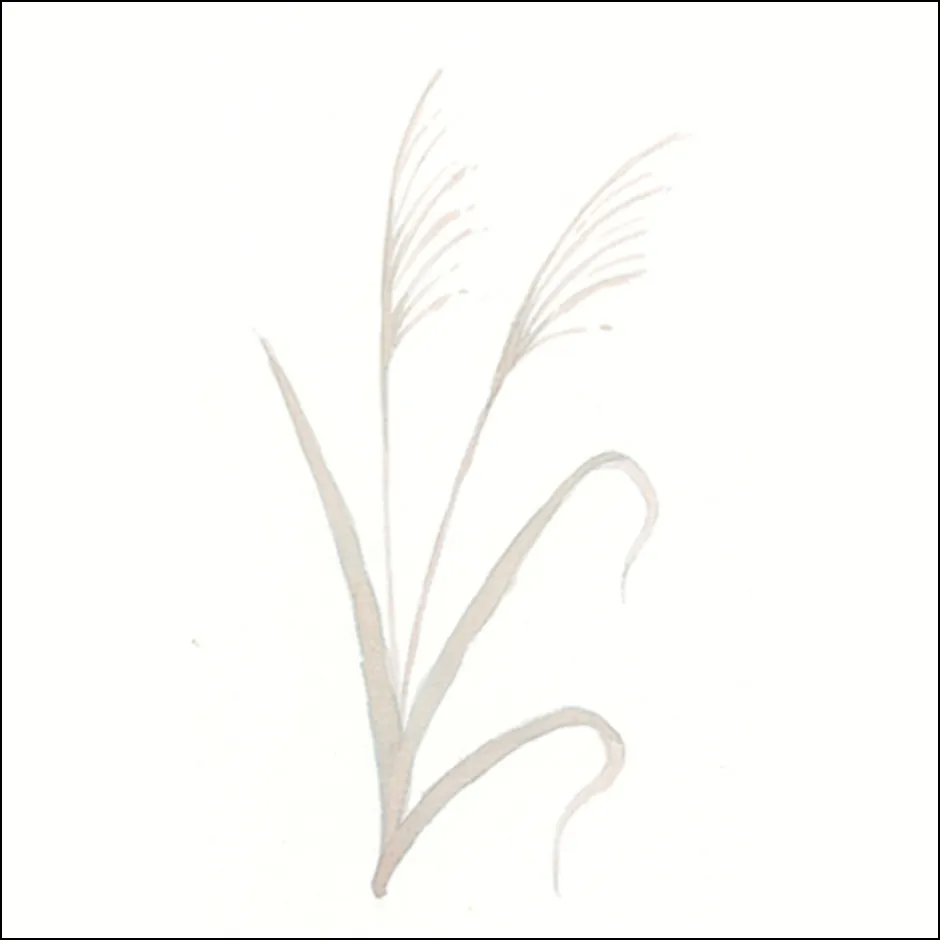 ススキの描き方2