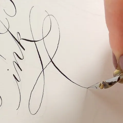 フローリッシュ部分の写真