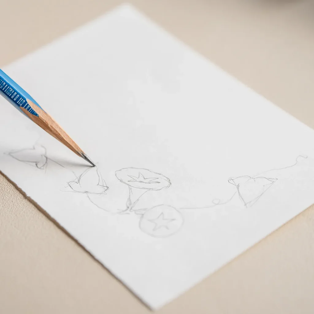 朝顔の描き方１